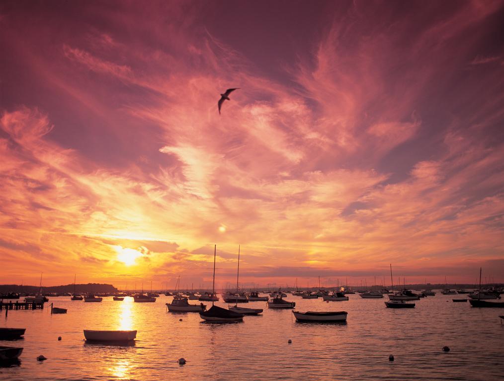 The Canford Poole Extérieur photo